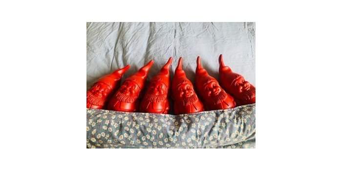 Les nains de jardin