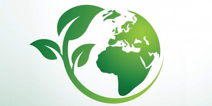 Club Environnement : Atelier Vers une Transition Ecologique