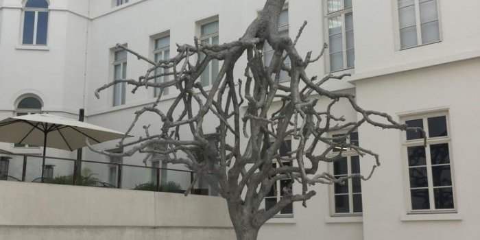 Visite du musée juif de Francfort, inscription à partir du 6 janvier 2022