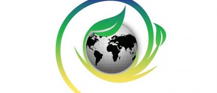 Club Environnement : Atelier Fresque du Climat